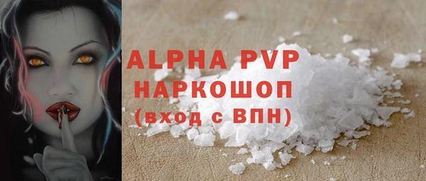 крисы Каменка