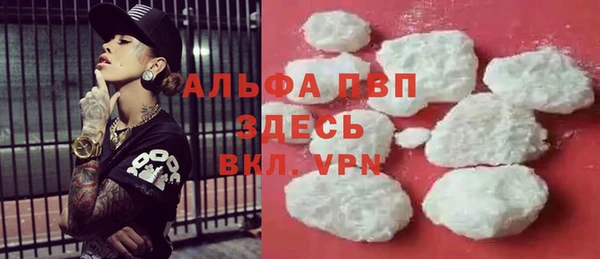 крисы Каменка