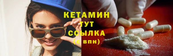 крисы Каменка
