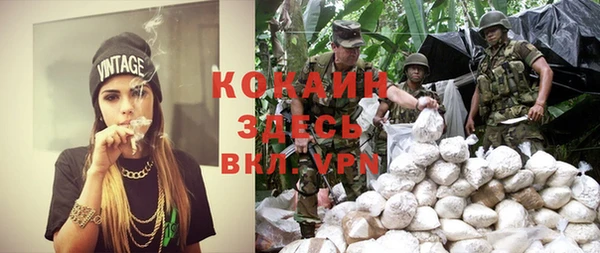 a pvp Каменногорск