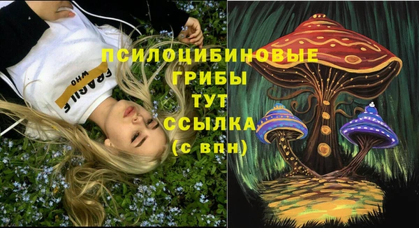 a pvp Каменногорск