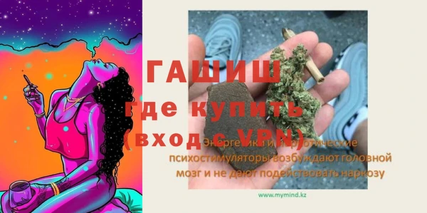 крисы Каменка